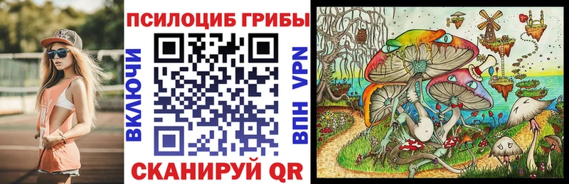 купить цена Тавда Галлюциногенные грибы Psilocybe
