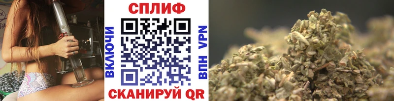 МАРИХУАНА сатива Тавда